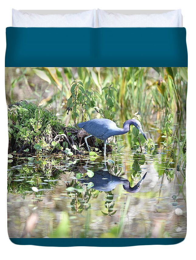 Blue Heron Duvet Cover featuring the photograph Blue Heron Fishing in a Pond in Bright Daylight by Artful Imagery