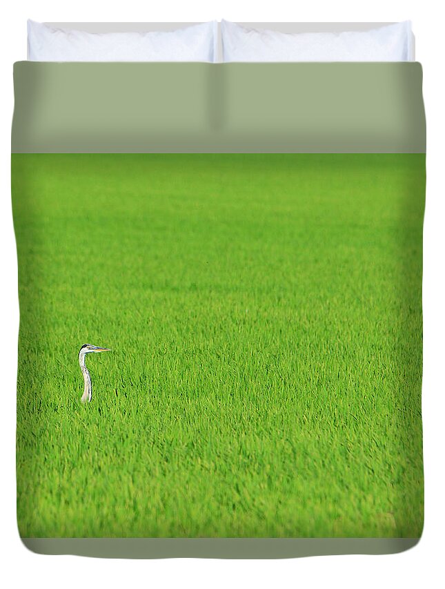 Blue Heron Duvet Cover featuring the photograph Blue Heron in Field by Josephine Buschman