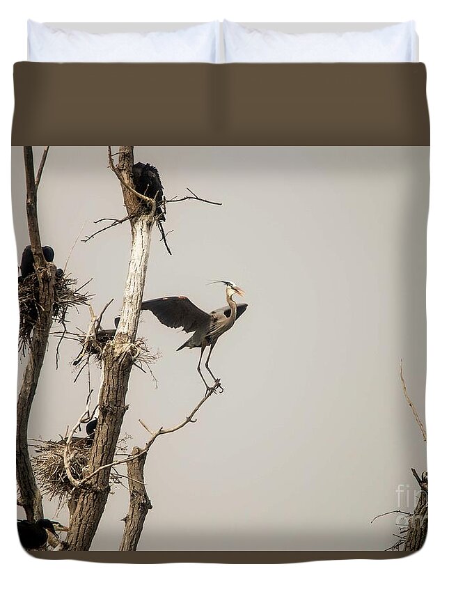 Rookery Duvet Cover featuring the photograph Blue Heron Posing by David Bearden
