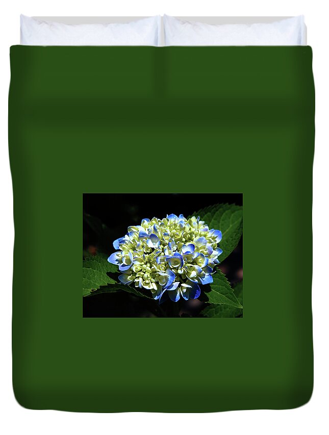 Blue Hydrangea Duvet Cover featuring the photograph Blue Hydrangea Onstage 2620 H_2 by Steven Ward