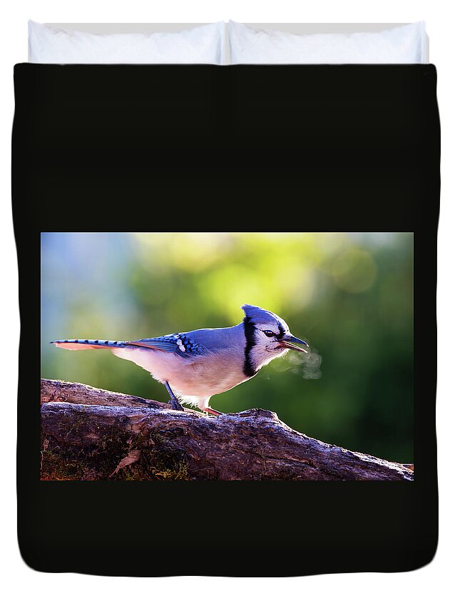 Autumn Duvet Cover featuring the photograph Blue Jay Breath by Mircea Costina Photography