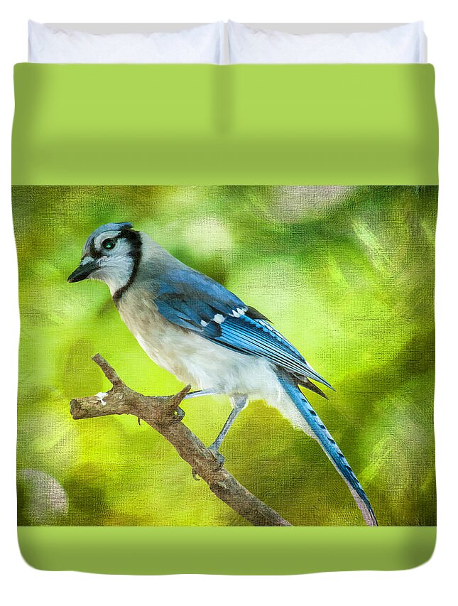 Bird Duvet Cover featuring the photograph Blue Jay by Cathy Kovarik