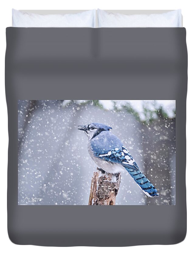 Jay Duvet Cover featuring the photograph Blue Jay in Snow Storm by Peg Runyan
