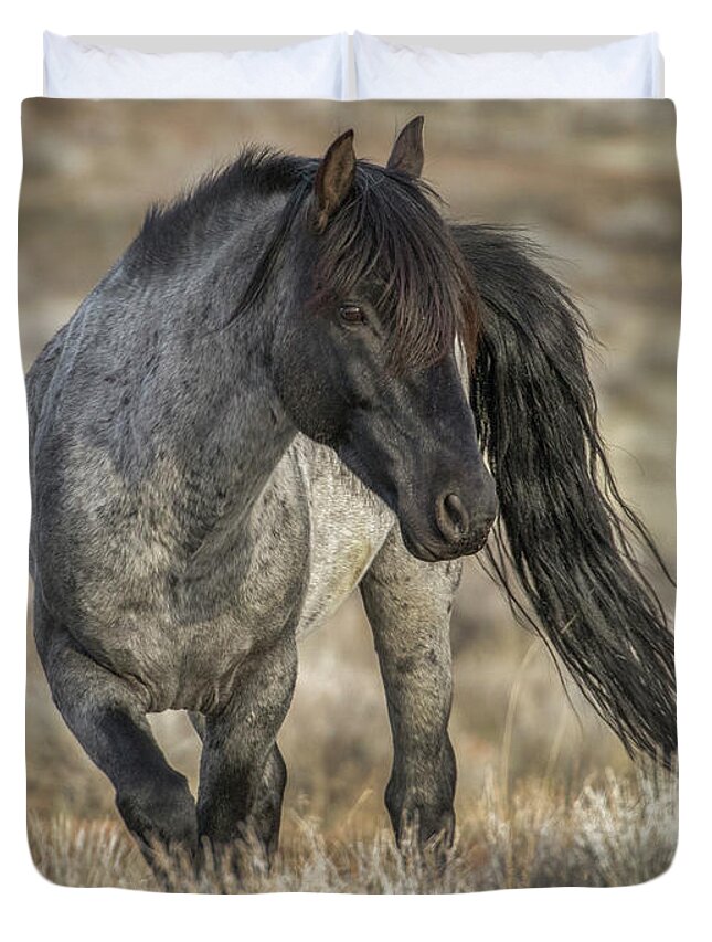 Mustang Duvet Cover featuring the photograph Blue by John T Humphrey