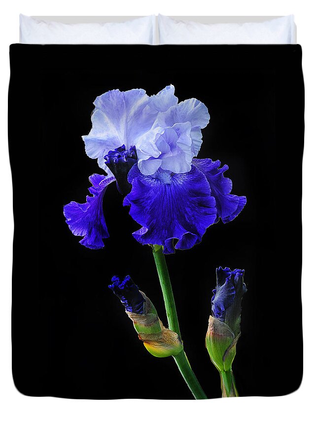 Iris Duvet Cover featuring the photograph Blue On Blue by Dave Mills