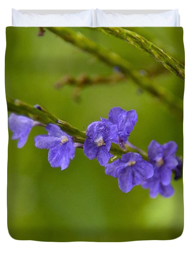 Flower Duvet Cover featuring the photograph Blue Porterweed by Carol Bradley