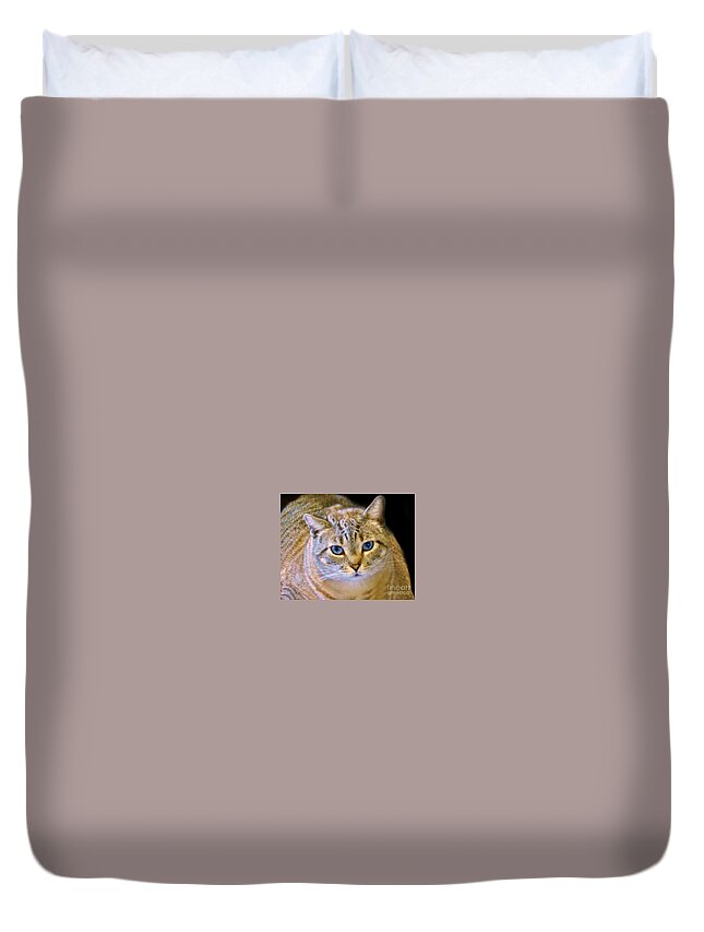 Cat Duvet Cover featuring the photograph Strikingly Handsome by Barbara S Nickerson