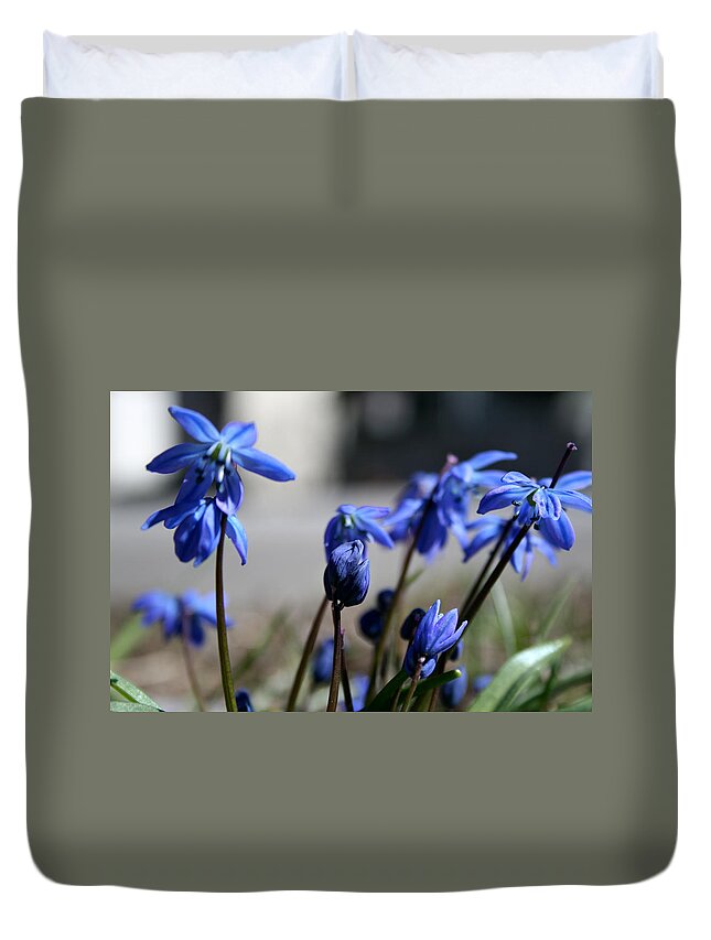 Blue Duvet Cover featuring the photograph Blue Spring Flowers by Laura Kinker