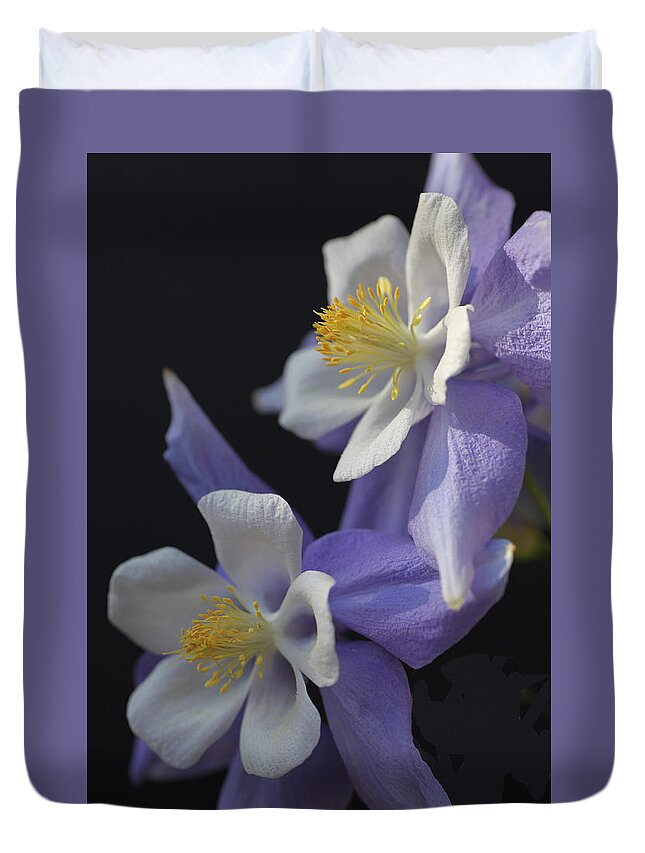 Blue Duvet Cover featuring the photograph Blue Swan Columbine by Tammy Pool