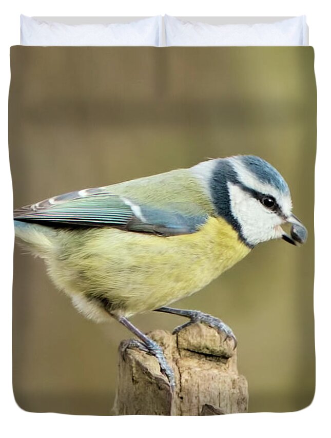  Duvet Cover featuring the photograph Blue Tit by Baggieoldboy