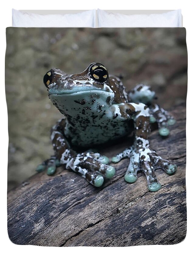 Animal Duvet Cover featuring the photograph Blue Tree Frog by Jaroslaw Blaminsky