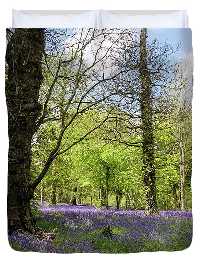 Bluebell Duvet Cover featuring the photograph Bluebell Season by Terri Waters