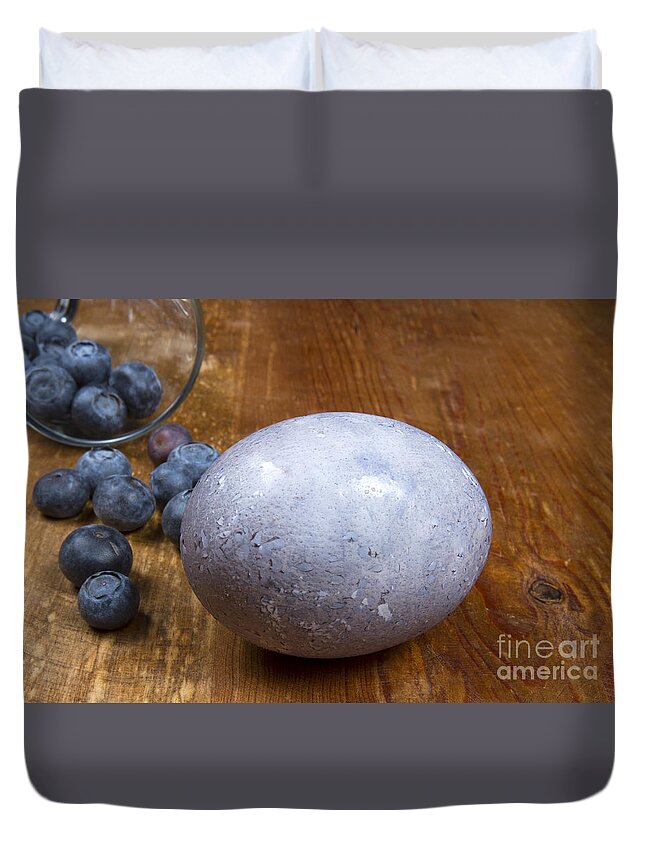 Easter Duvet Cover featuring the photograph Blueberry easter egg by Karen Foley