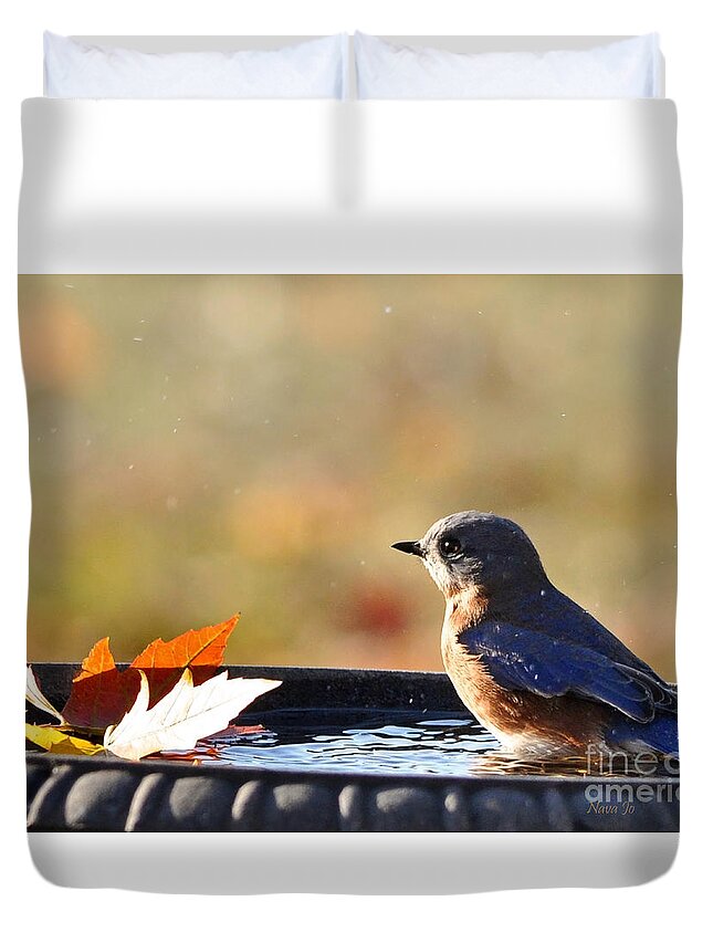 Nature Duvet Cover featuring the photograph Bluebird Beauty in the Bath by Nava Thompson