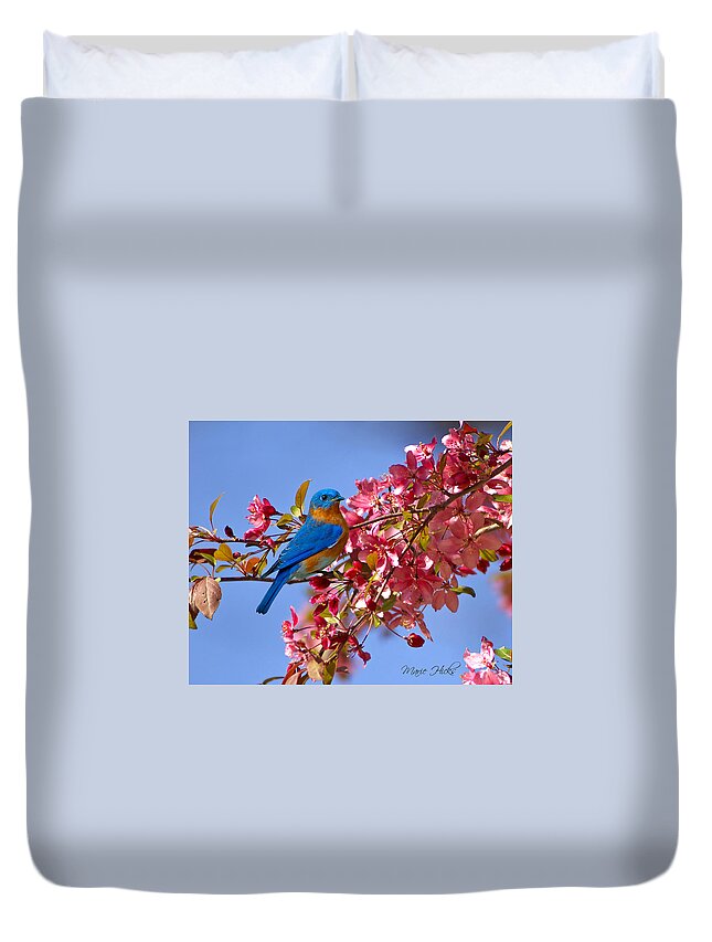 Bluebird Duvet Cover featuring the photograph Bluebird in Apple Blossoms by Marie Hicks
