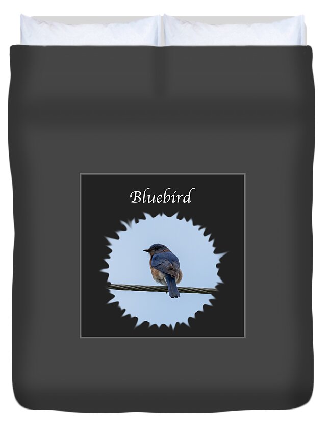 Eastern Bluebird Duvet Cover featuring the photograph Bluebird by Holden The Moment