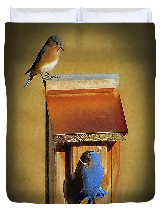 Bluebird Duvet Cover featuring the photograph Bluebird Parents by Sue Melvin