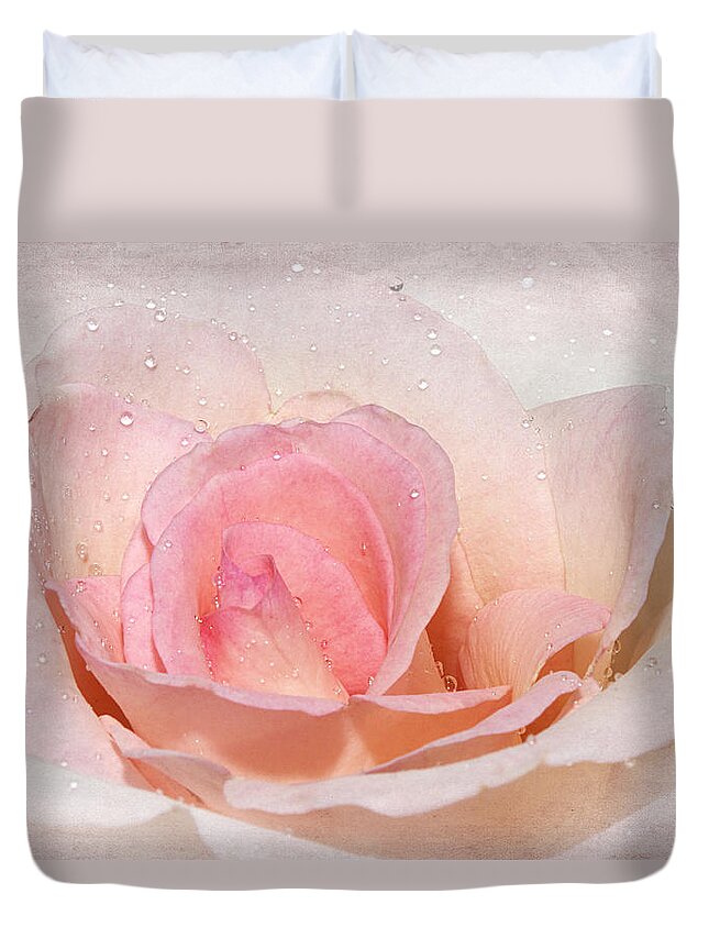 Rose Duvet Cover featuring the photograph Blush Pink Dewy Rose by Phyllis Denton