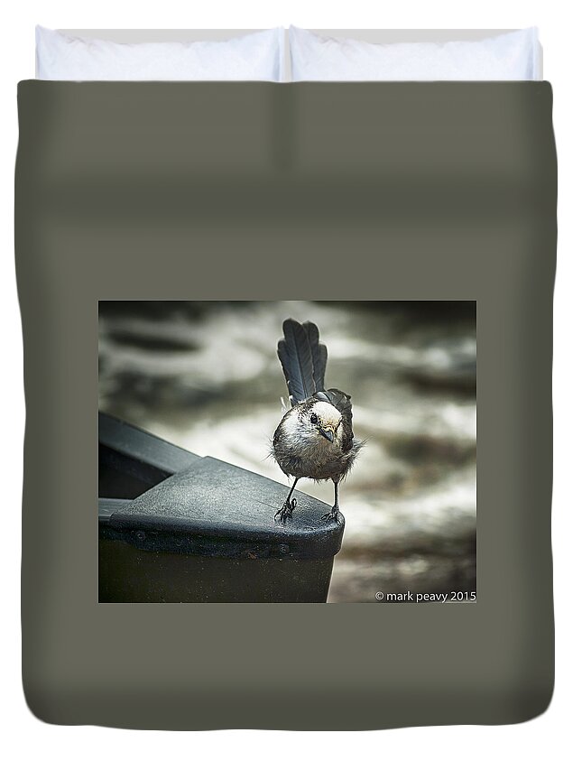 White Blue Bird Boat Bow Blurred Background Duvet Cover featuring the photograph Boat Sparrow by Mark Peavy