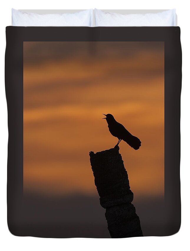 Boat-tailed Duvet Cover featuring the photograph Boat-tailed Grackle at Sunset by David Watkins