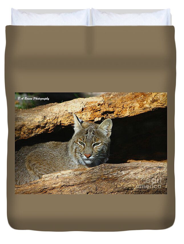 Bobcat Duvet Cover featuring the photograph Bobcat Hiding in a Log by Barbara Bowen