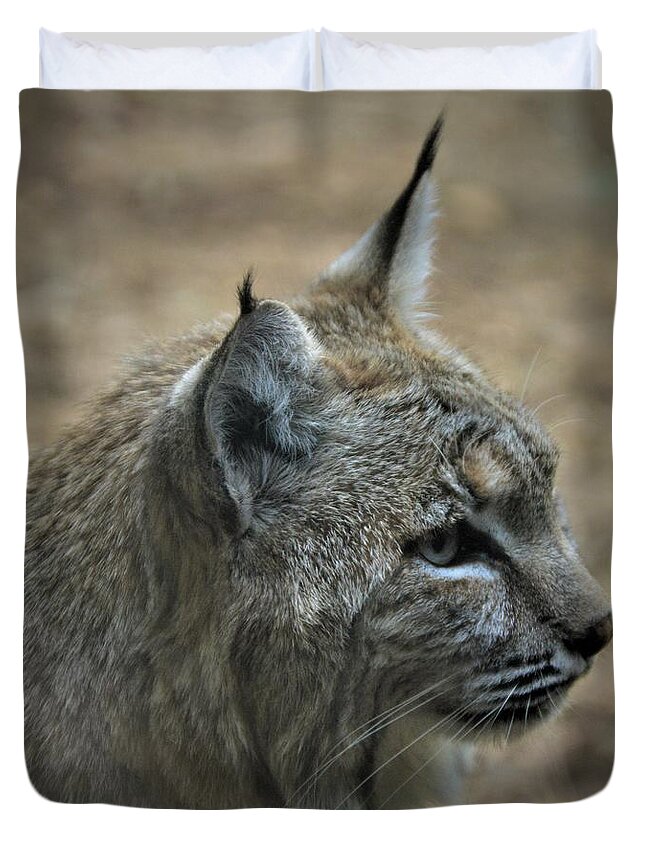 Bobcat Duvet Cover featuring the photograph Bobcat in Profile by Kathy Kelly