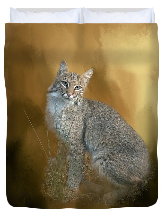 Bobcat Duvet Cover featuring the photograph Bobcat by Renee Trenholm