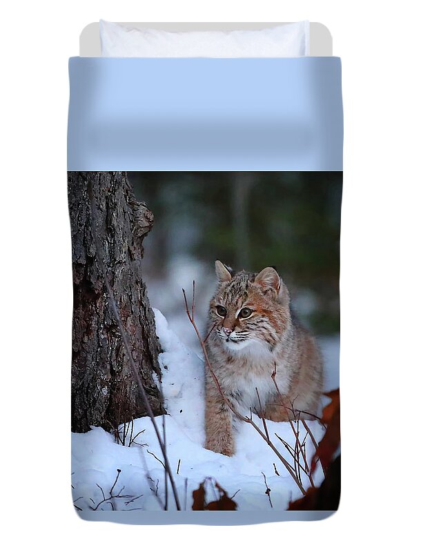 Bobcat Duvet Cover featuring the photograph Bobcat Sneaking Around by Duane Cross