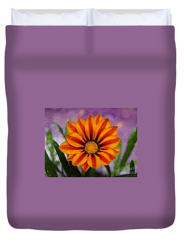 Flowers Duvet Cover featuring the photograph Bold Gazania Flower II by Dorothy Lee