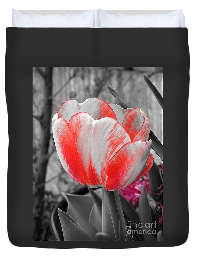 Tulip Duvet Cover featuring the photograph Bold Tulip by Chad and Stacey Hall