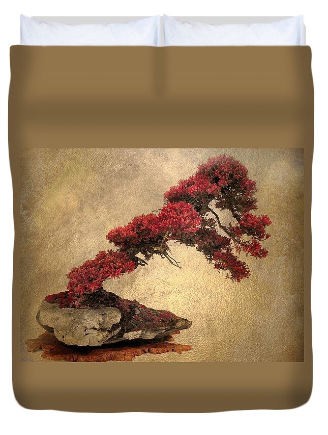 Bonsai Duvet Cover featuring the photograph Bonsai Display by Jessica Jenney