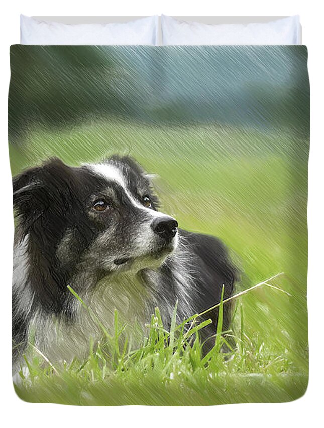Portrait Duvet Cover featuring the drawing Border Collie - DWP2189332 by Dean Wittle