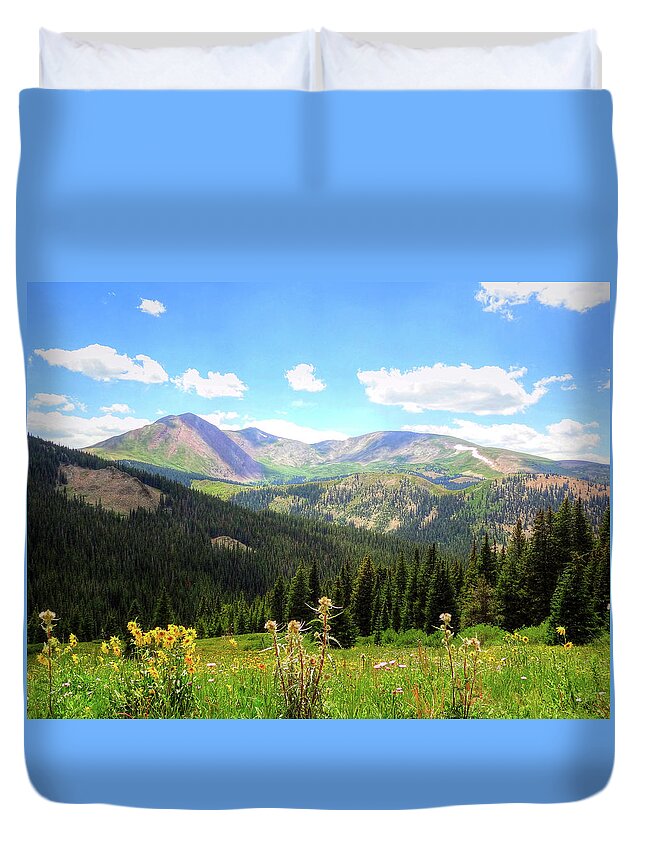 Boreas Duvet Cover featuring the photograph Boreas Pass Colorado by Lanita Williams
