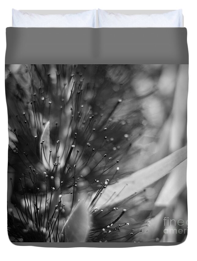 Bottle Brush Duvet Cover featuring the photograph Bottle Brush Abstract by Shawn Jeffries