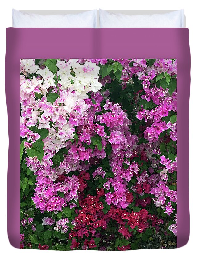 Bougainevillee Duvet Cover featuring the photograph Bougainville Flowers in Hawaii by Karen Nicholson