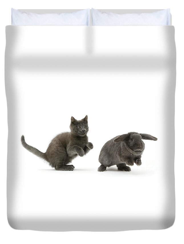 Russian Duvet Cover featuring the photograph Bouncing with Bunny by Warren Photographic