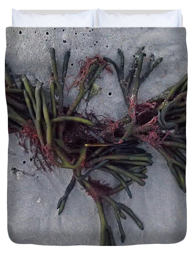 Seaweed Duvet Cover featuring the photograph Bouquet by Robert Nickologianis