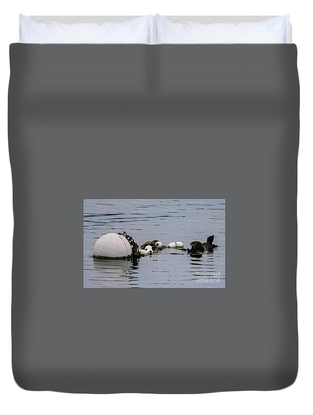 Sea Otter Duvet Cover featuring the photograph Bouyed Sea Otter by Suzanne Luft