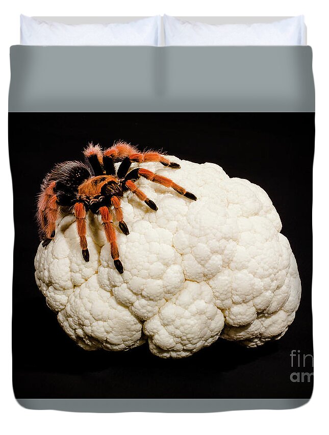 Black Duvet Cover featuring the photograph Brain cancer by Benny Marty