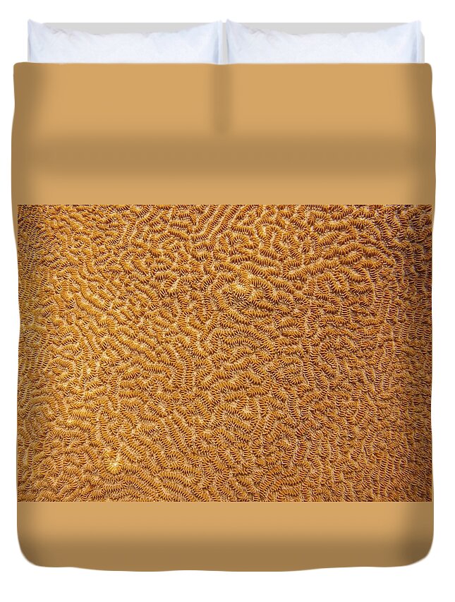 Texture Duvet Cover featuring the photograph Brain Coral 47 by Michael Fryd