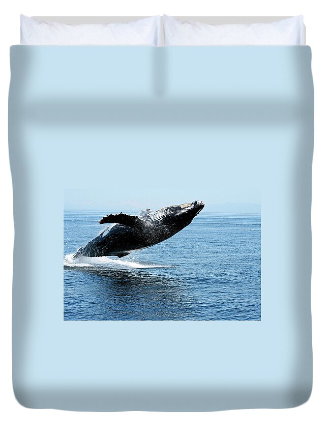 Alaska Duvet Cover featuring the photograph Breaching humpback whales Happy-2 by Steve Darden