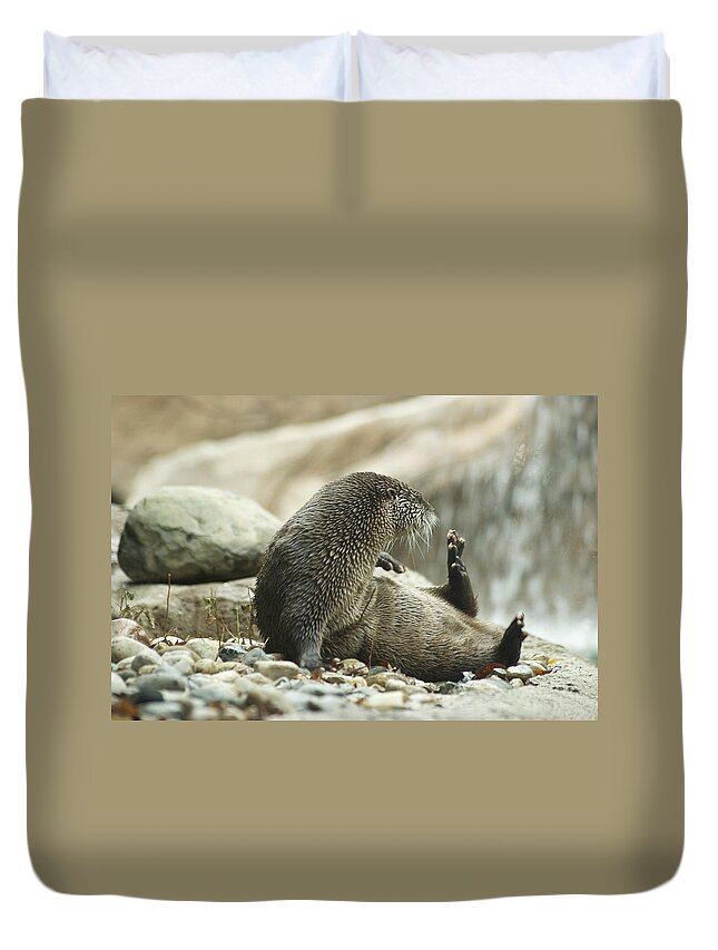 Wildlife Duvet Cover featuring the photograph Break Time by Michael Peychich