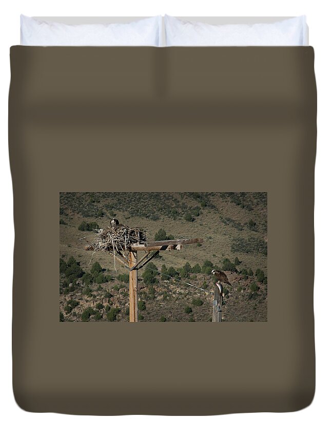 Peregrine Falcon Duvet Cover featuring the photograph Breakfast by Brian Duram
