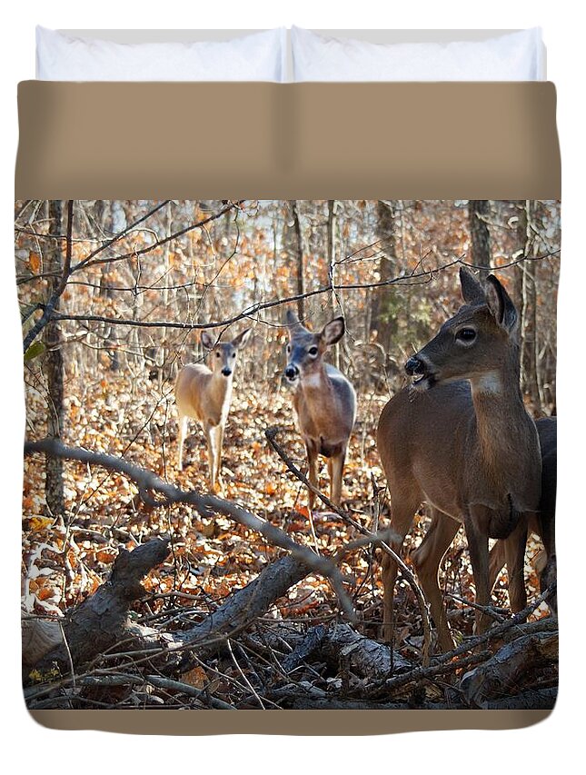 Deer Duvet Cover featuring the photograph Breakfast In The Woods by Bill Stephens