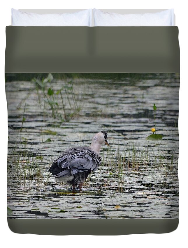 Great Blue Heron Duvet Cover featuring the photograph Breezy Blue- Great Blue Heron by David Porteus
