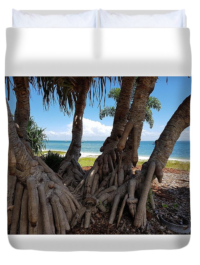 Bribie Island Duvet Cover featuring the photograph Bribie Trees by Cassy Allsworth