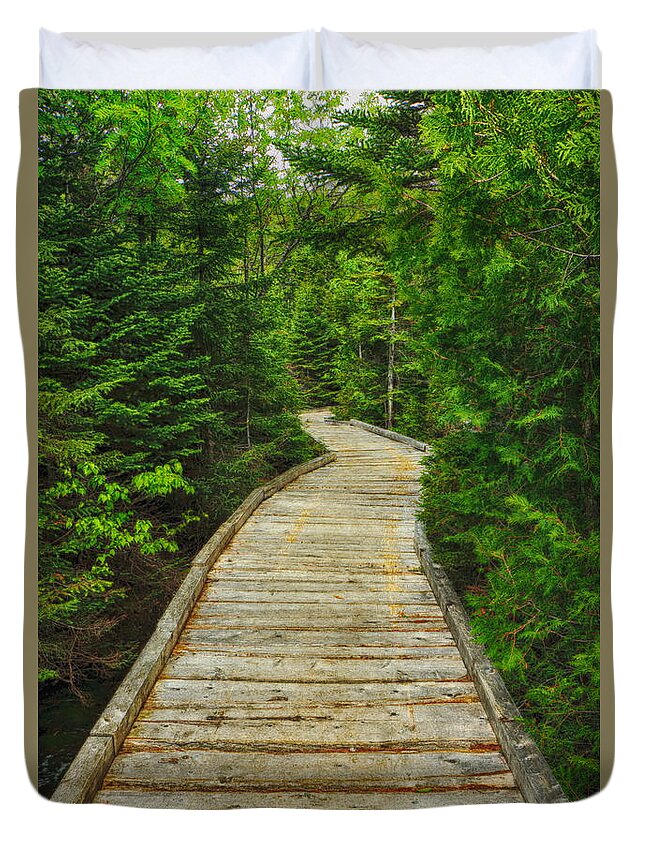 Chimney Pond Hiking Trail Duvet Cover featuring the photograph Bridge to Chimney Pond by Elizabeth Dow