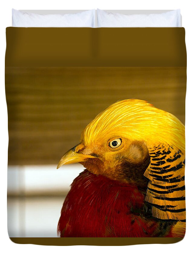 Bird Duvet Cover featuring the photograph Bright Bird by Travis Rogers