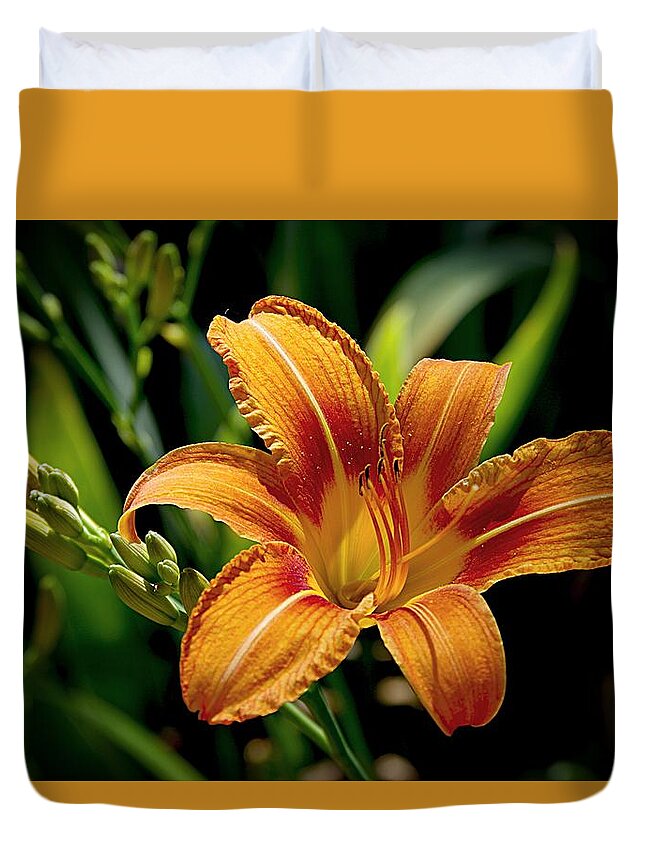 Native Day Lily Duvet Cover featuring the photograph Bright Daylily by Karen McKenzie McAdoo
