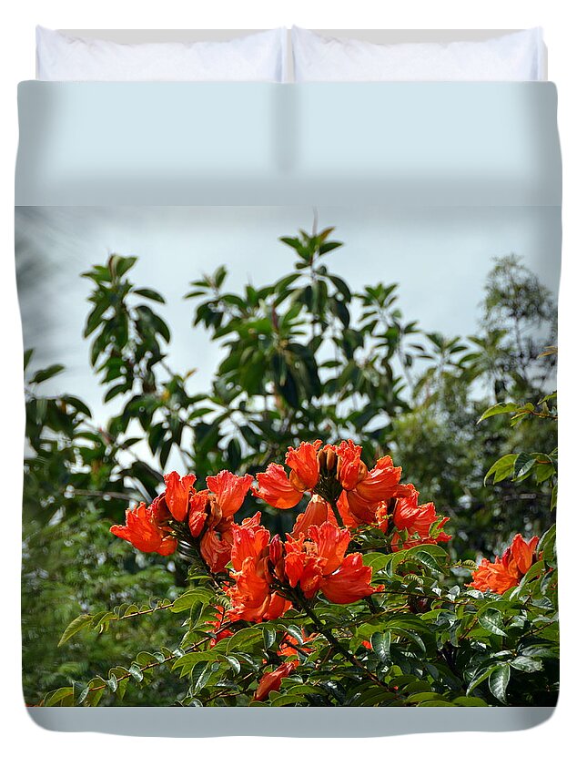 Orange Duvet Cover featuring the photograph Bright Orange Honduran Flowering Tree by Carla Parris
